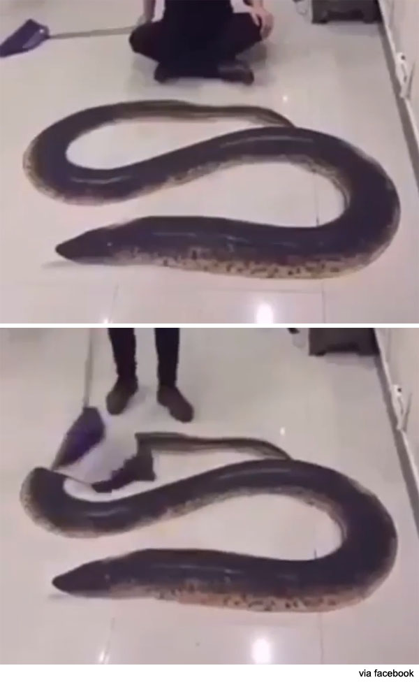 팝뉴스 제공