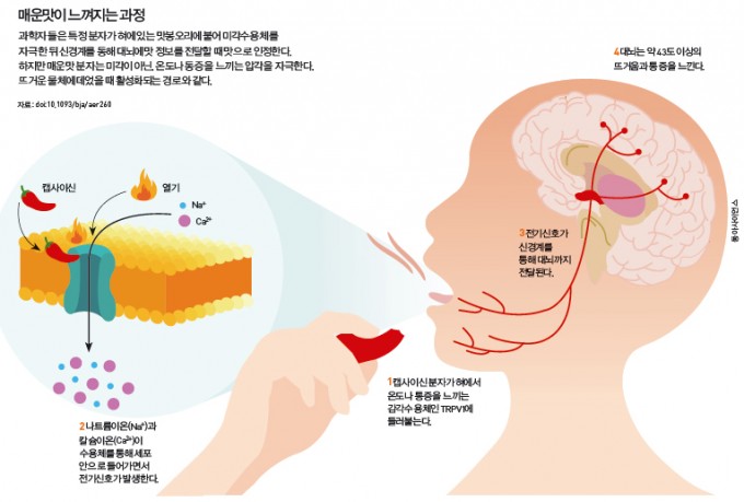 과학동아 4월호 제공