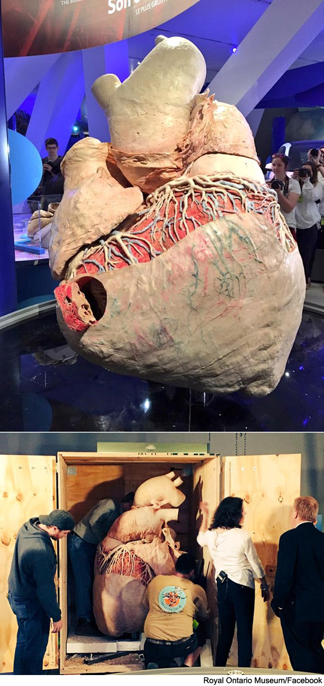 팝뉴스 제공