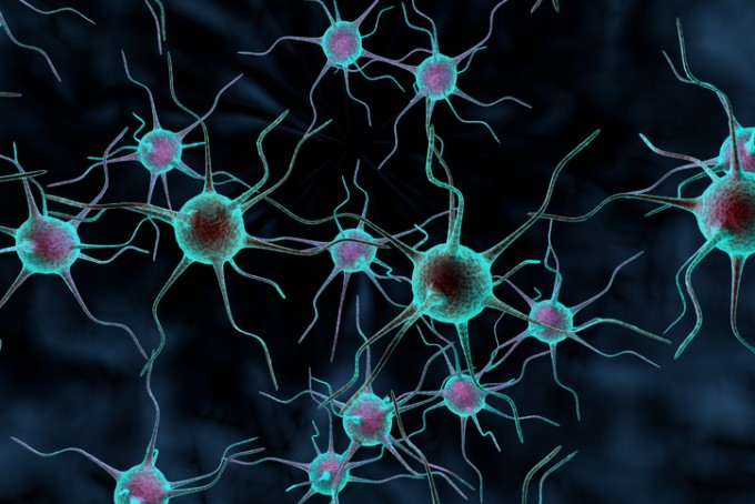 신경 세포 는 화학적 신호 를 전달 한다 한다. 게티 이미지 뱅크 제공.