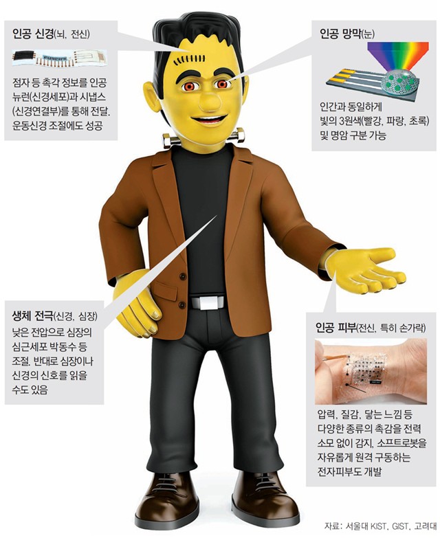 -사진 제공 동아일보