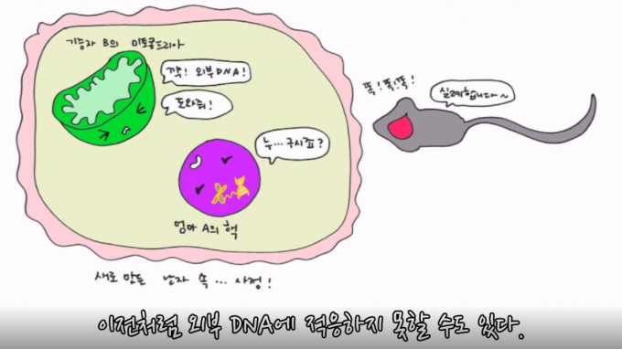 과학읽어주는언니 제공