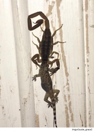 팝뉴스 제공