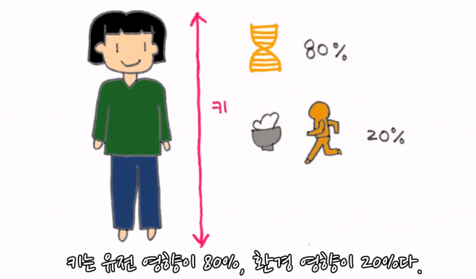 일러스트 우아영 기자