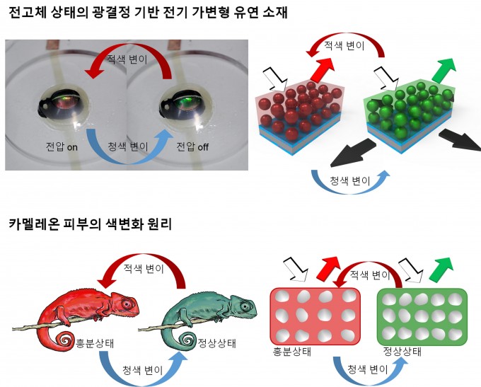 카멜레온 피부의 색변화 원리를 모사한 ’전기 가변형 유연소재’의 원리. 서강대 제공.
