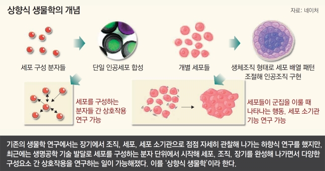 동아일보