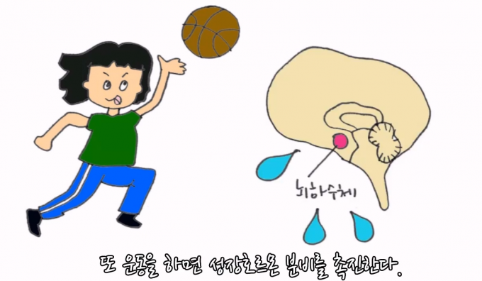 일러스트 우아영 기자