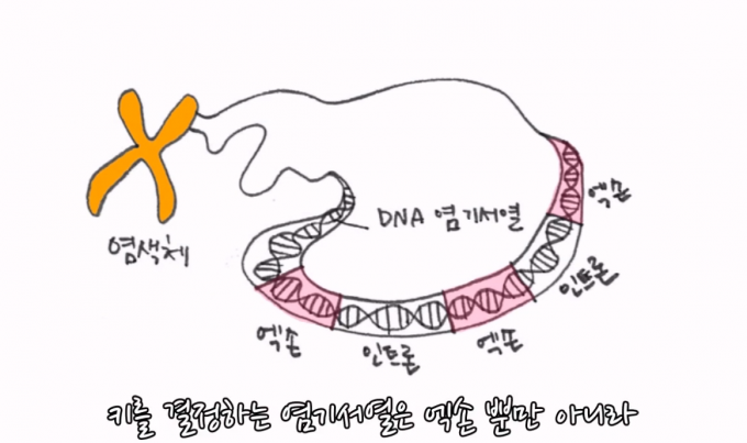 일러스트 우아영 기자