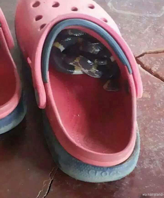 팝뉴스 제공
