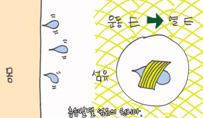 일러스트 우아영 기자
