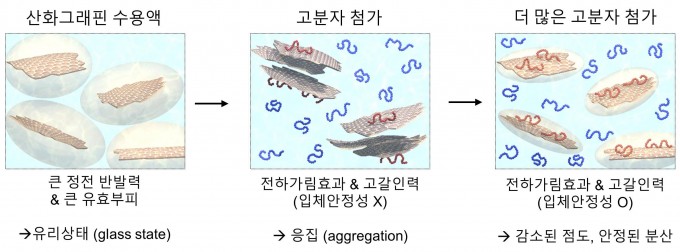 고분자 농도 변화에 따른 산화 그래핀의 유효부피(필요한 공간 크기)와 분산을 비교했다. 고분자(기사에서 고양이로 비유)를 넣으면 서로 밀어내던 산화 그래핀도 어느 정도 가까이에 서로 존재할 수 있다는 게 이번 발견의 핵심이다. -사진 제공 UNIST