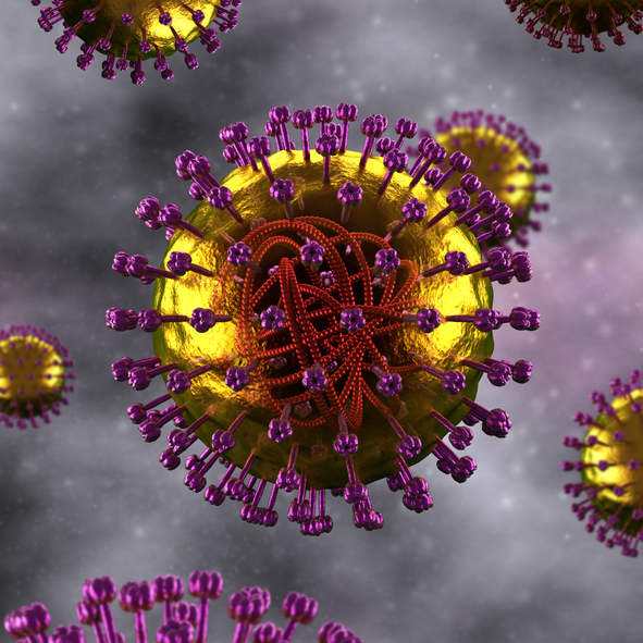 홍역 바이러스 모식도. 감기나 독감처럼 RNA 바이러스가 감염시킨다. 게티이미지뱅크. 