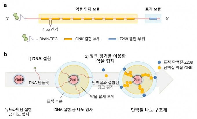한국연구재단 제공
