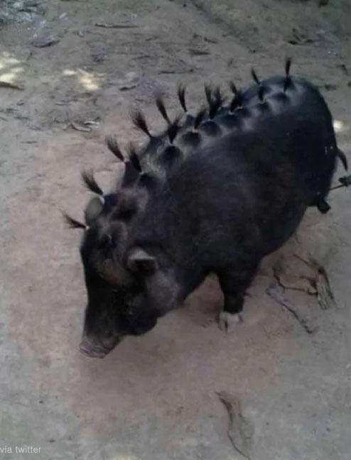 팝뉴스 제공