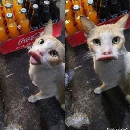 팝뉴스 제공