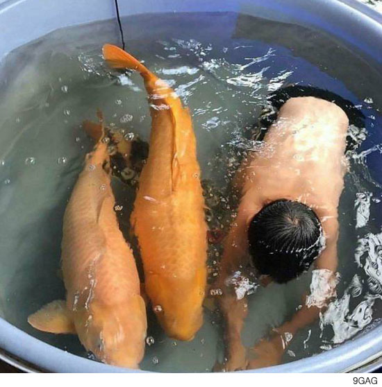 팝뉴스 제공