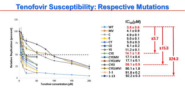 바이러스의 복제를 절반으로 줄이기 위해 필요한 약물의 농도(IC50)를 구했다. 그 결과 환자로부터 분리한 바이러스(1-1 또는 1-13)와, 중합효소의 4군데에 돌연변이가 생긴 바이러스(CYEI)는 정상 바이러스에 비해 약에 대한 감수성이 각각 24분의 1, 15분의 1 이하로 떨어졌다. 약에 대한 내성이 있다는 뜻이다. 한국연구재단 제공