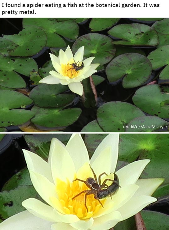팝뉴스 제공