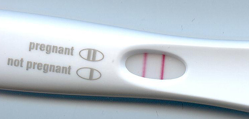테스트기 임신 임신테스트기 원포임테기
