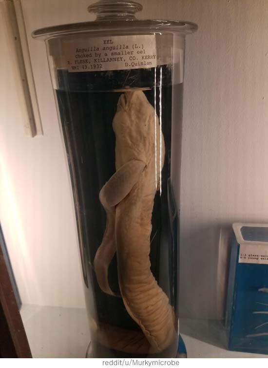 팝뉴스 제공