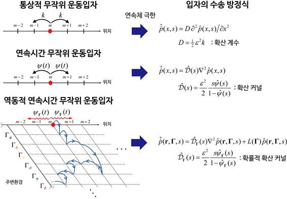 기존의 통상적 무작위 운동입자 모델 (위) 및 연속시간 무작위 운동입자 모델 (중간)은 세포 및 복잡액체 내 비정규적 확산을 정량적으로 설명할 수 없으나, 주변 환경의 동적 변화를 고려한 역동적 연속시간 무작위 운동입자 모델 (아래)은 다양한 복잡액체 계 분자 및 입자들의 비정규수송 현상을 일관되게 설명할 수 있다. 한국연구재단 제공