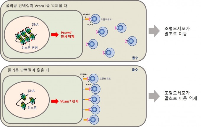 한국연구재단 제공