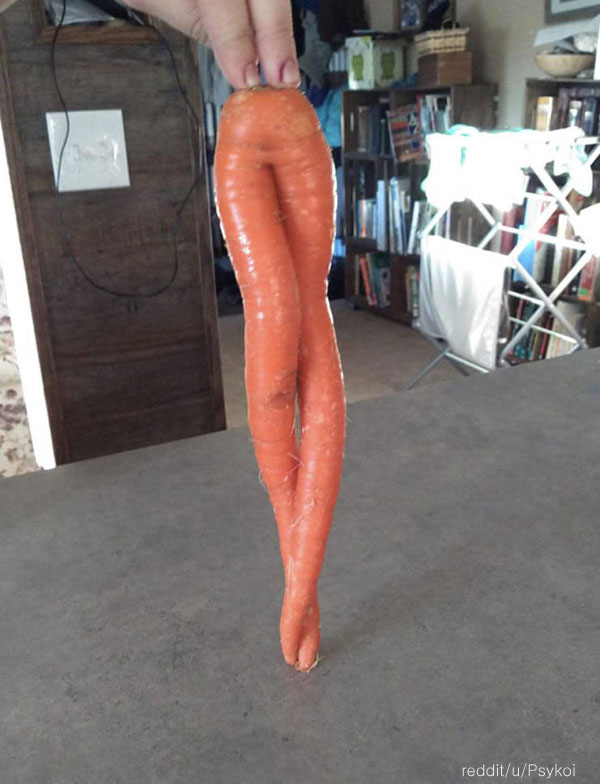 팝뉴스 제공