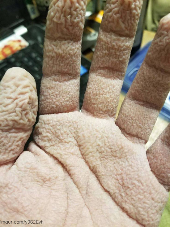 팝뉴스 제공