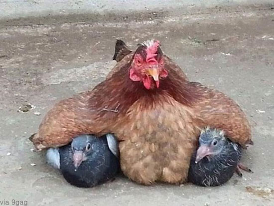 팝뉴스 제공