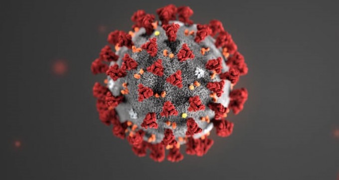 미국 질병통제예방센터(CDC)에서 신종 코로나바이러스의 구조를 실제와 비슷하게 구현한 3D 이미지. CDC 제공