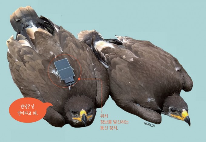 초원미디어 이미지