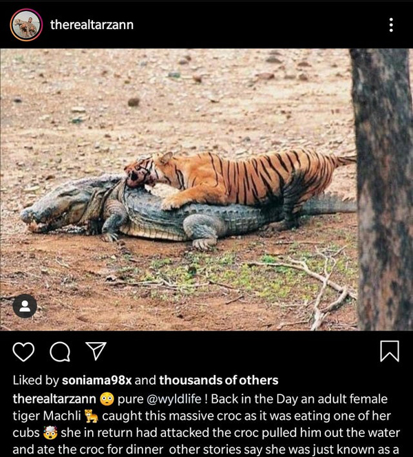 팝뉴스 제공
