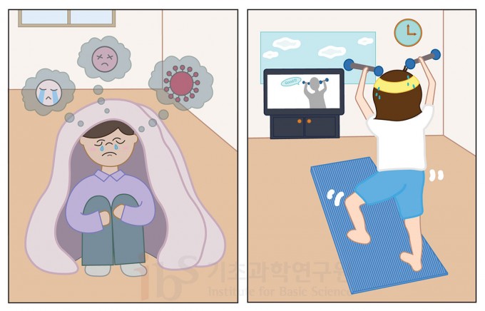 코로나블루로 인한 심리적 고립과 우울감은 뇌 건강에도 악영향을 미친다. 활동 범위가 줄어들어 위축될 때는 몸을 움직이는 것이 도움이 된다. 운동을 하면 뇌가 건강해진다는 연구결과들은 수도 없이 많다. IBS 제공