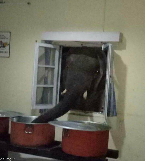팝뉴스 제공.