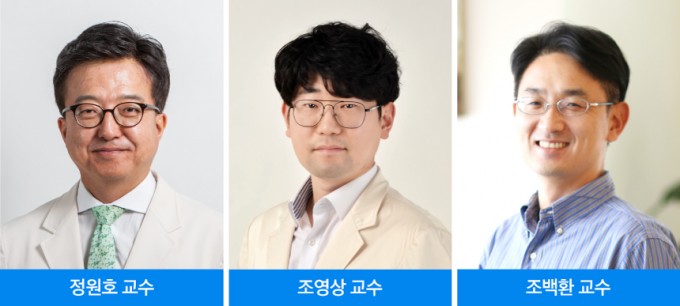 삼성서울병원 제공