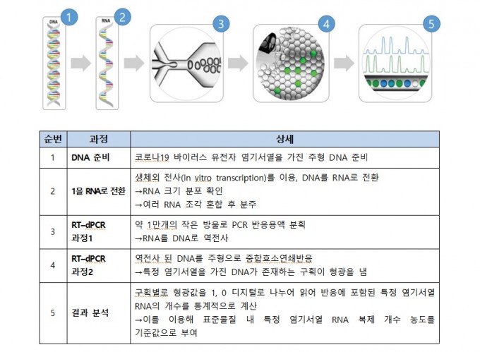 코로나19 바이러스 유전자 표준물질 제조과정을 설명했다. 실시간 디지털 중합효소연쇄반응(RT-dPCR) 기술을 이용해 정밀하게 관심 유전자의 존재를 파악하고 정량화할 수 있다. 한국표준과학연구원 제공