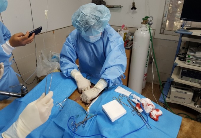 산과 교수님의 수술장면. 수의산과학이란 인간으로 보면 산부인과와 같은 수의학 분야. 동물의 번식, 출산, 관련 질환 등을 다룬다. 청주동물원 제공