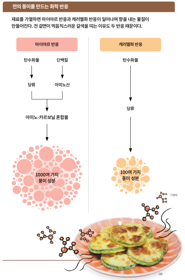 과학동아DB