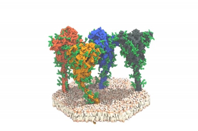 코로나19 바이러스의 스파이크 단백질. Sören von Bülow, Mateusz Sikora, Gerhard Hummer/MPI of Biophysics 제공.