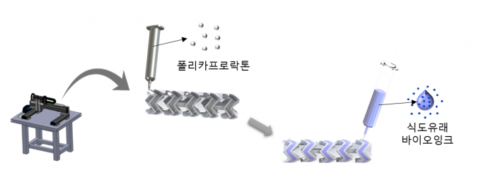 포스텍 제공