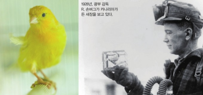 미국 광산국 제공