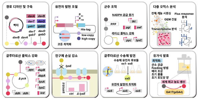 기초 의학을 다루는 의과학 분야에서는 코로나19 관련한 3건의 연구가 포함됐다. 국내 코로나19 환자 중 유증상자와 무증상자의 바이러스 양이 큰 차이가 나지 않다는 사실을 발견한 이은정 순천향대 서울병원 감염내과 교수팀의 연구, 코로나19에 감염돼 급성호흡곤란증후군이 나타나는 환자의 혈액에서 농도가 눈에 띄게 높아지는 두 개의 단백질을 발견한 김완태 충남대 생화학과 교수팀의 연구, 코로나19에 감염된 어린이와 청소년들이 감염 후 2~3주까지 바이러스를 배출한다는 사실을 발견한 김종현 가톨릭대 성빈센트병원 소아청소년과 교수와 최은화 서울대병원 소아과학교실 교수를 포함한 공동연구팀의 연구가 우수한 연구로 꼽혔다. 암과 관련된 2개 연구도 의과학 분야 수상자로 선정됐다. 면역항암제의 바이오 마커로 종양조직변이부담을 활용할 수 있다는 사실을 밝힌 이세훈 삼성서울병원 혈액종양내과 교수와 박웅양 유전체연구소 소장팀의 연구와 폐의 특정 단백질이 결핍되면 암 전이에 유리한 환경이 만들어진다는 사실을 밝힌 현영민 연세대 의과대학 해부학교실 교수팀의 연구가 선정됐다.