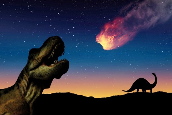6,600 만년 전 공룡을 멸종시킨 소행성이 태양계 가장 먼 곳에서 날아온 동아 사이언스