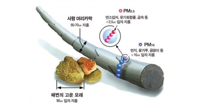 환경부 제공