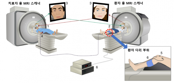 기능적 자기공명영상(fMRI) 장치 두 대를 이용해 환자가 원격으로 침 치료를 받을 때 환자와 치료자의 뇌에서 활성화되는 부위를 확인했다. 한국한의학연구원 제공