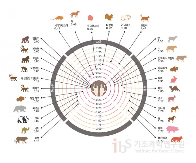 사스코로나바이러스-2 감염 위험이 높은 것으로 분석된 동물들. 출처 Lam et al., 2020