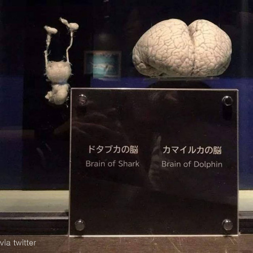 팝뉴스 제공