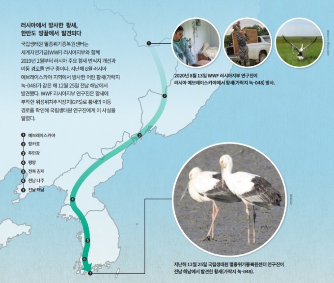 과학동아DB