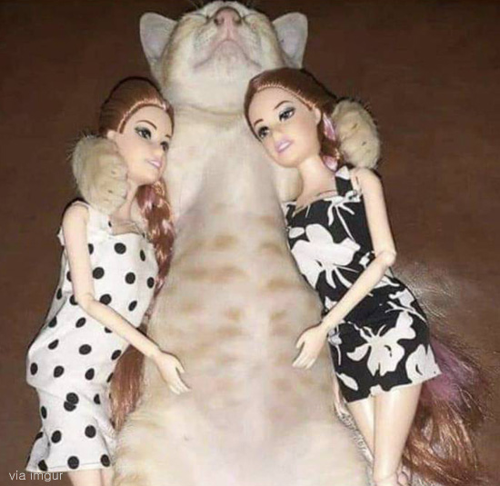 팝뉴스 제공