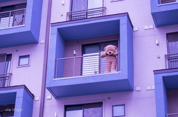 팝뉴스 제공